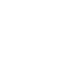 Bombas, Lagartos y Cohetes de Vallekas